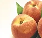 (max-width: 767px)