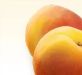 (max-width: 767px)