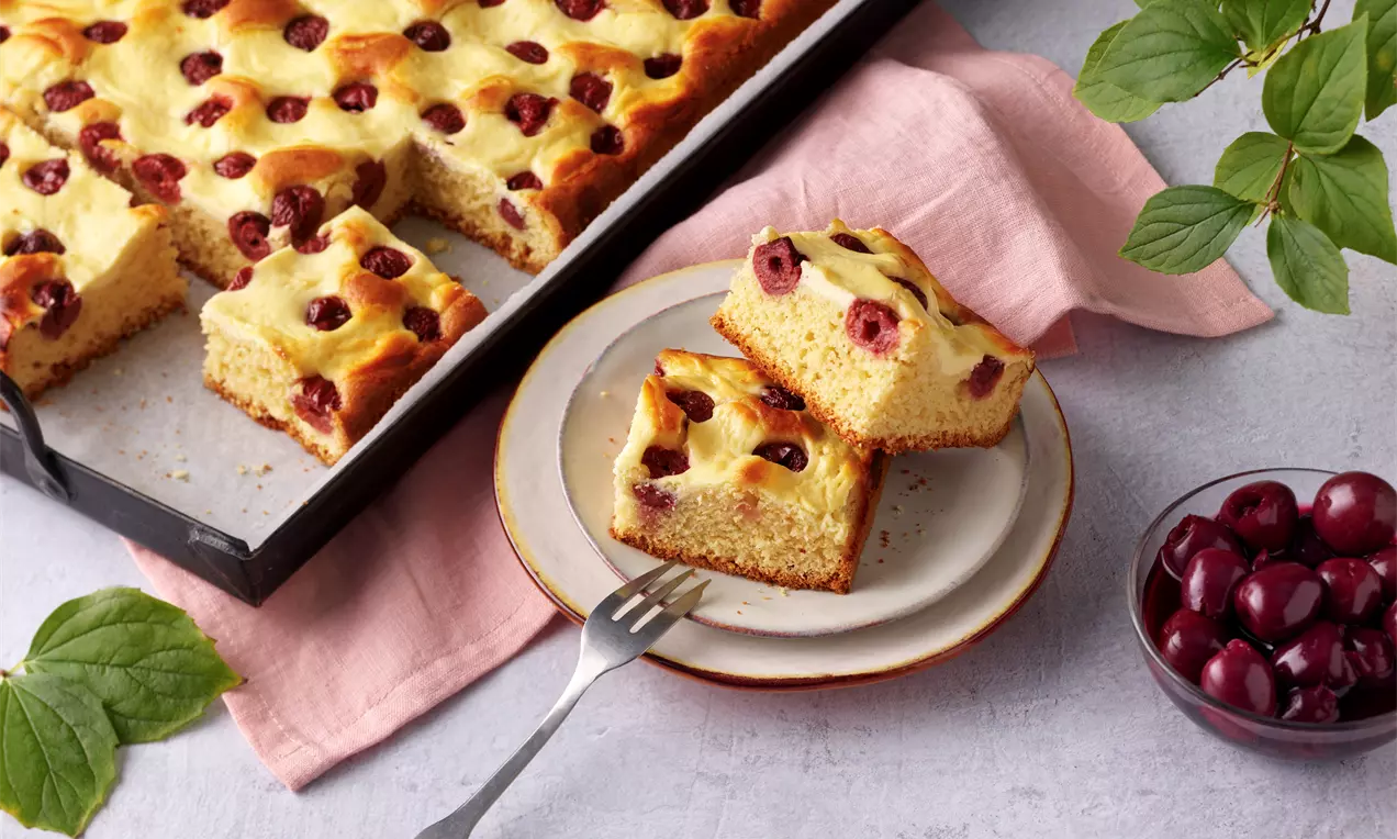 Ein goldbrauner, saftiger Topfen-Kirsch-Kuchen mit dunklen Kirschen auf heller Oberfläche, in Stücke geschnitten, auf Teller mit rosa Stofftuch
