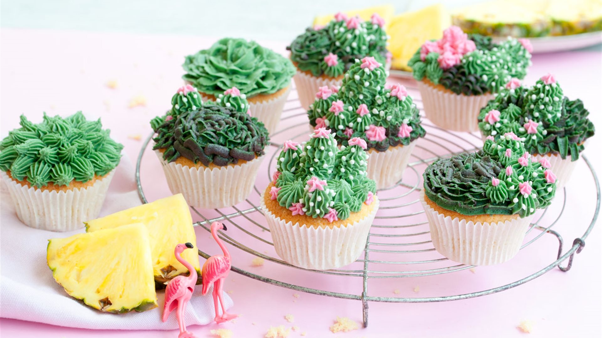 Sukkulenten Cupcakes